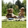 LittleLife Rodinná lekárnička