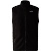 The North Face 100 GLACIER VEST Men