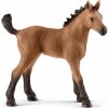 Schleich zvieratko - žriebä plemena Quarter