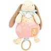 Plyšový zajačik s melódiou Lapin Ciboulette Music Box Doudou et Compagnie v darčekovom balení 20 cm od 0 mes