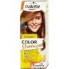 Schwarzkopf Palette Color Shampoo 317 orieškovo plavý
