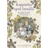 Rozprávky spod černičia slovensky - Barklem Jill