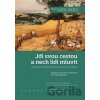 Jdi svou cestou - Oldřich Chládek, Tomáš Petráček, Jan Sič, Veronika Kucrová Stachurová
