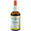 Salvia Paradise Damiána - Turnera diffusa tinktúra - 50 ml