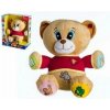 Teddies Medvěd Tedík česky mluvící plyš na baterie v krabici