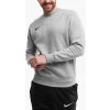 Nike Team Club 20 Crewneck