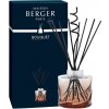 Maison Berger Paris Aróma difuzér Spirale jantárový 222 ml
