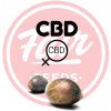 FAIR SEEDS CBD Maximus semena neobsahují THC 5 ks