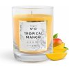 Artman candles Classic Glass Tropical Mango 250 g – sviečka v skle