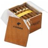 Cohiba ROBUSTOS 25 ks
