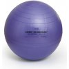 SISSEL Fitlopta SISSEL® Securemax Ball - Ø 65 cm Farba: fialová + plagát s cvikmi