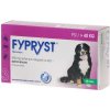 Fypryst spot-on Dog XL nad 40 kg 1 x 4,02 ml