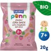 SALVEST Põnn BIO Chrumky jahodové 20 g