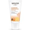 Weleda Cold Cream krém do extrémních podmínek 30 ml