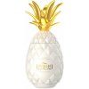 Pinaq Colada 17% 1L (čistá fľaša)