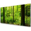 Obraz plexi Les zeleň stromy príroda 100x50 cm