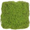 Fine moss light green, dielec 50 x 50 cm (Realistická imitácia machu - uzavretý penový raster)