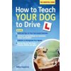 How to Teach your Dog to Drive