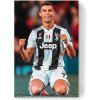 Cristiano Ronaldo obraz na stenu | Radosť z úspechu