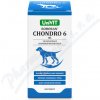 Roboran Chondro 6 pro psy 180 tbl