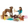 Schleich Piknik s Lisou, hrací sada