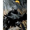 ZUTY Maľovanie podľa čísel - BATMAN ČÍHA Rámovanie: vypnuté plátno na rám, Rozmer: 40x50 cm
