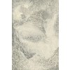 Kusový koberec Dew len 300 x 400 cm
