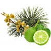 Sentiotec Saunová esencia Arola pine bergamot litsea 100 ml