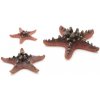 BiOrb Sea Stars set rúžová 10, 8 a 5 cm