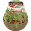 Sviečka bolsius Teracce Citronella, repelentná, 94/91 mm, paradajka