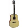 Stanwood Pro01