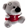Liverpool FC Plyšový Medvedík Liverpool FC, Znak Liverbird, 14 cm, Oficiálny
