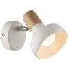 Candellux PUERTO 91-62796 1xE14