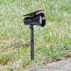 Prios LED solárny reflektor Birko, výška 56 cm, čierny, zemný hrot - 9934141