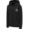 Hummel PROUD HOODIE 214140-2001