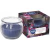 Aura Bispol Dark Fruits Almond vonná sviečka 80g