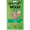 Pamlsok Woolf Dog Earth NOOHIDE S Lamb 90 g