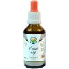 Salvia Paradise Česnek setý AF tinktura 50 ml