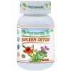 Planet Ayurveda Spleen Detox - očista sleziny