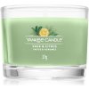 Yankee Candle Sage & Citrus votívna sviečka Signature 37 g