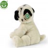 Rappa Plyšový pes mops 30 cm ECO-FRIENDLY