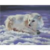 Zuty – Maľovanie Podľa Čísel – Polárna Líška Na Snehu (D. Rusty Rust), 40 × 50 cm, Plátno + Rám 8596530171058