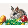 ZUTY Maľovanie podľa čísel - KRÁLIK A VEĽKONOČNÉ VAJÍČKA Rámovanie: vypnuté plátno na rám, Rozmer: 80x100 cm