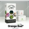 Dutch Passion Orange Bud semena neobsahují THC 5 ks