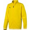Puma Liga Training Jacket 655688