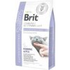 Brit VD Cat GF Gastrointestinal 2kg