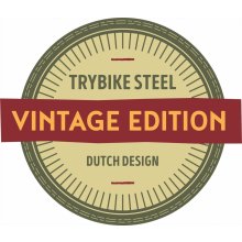 Co & CO BV Trybike Steel vintage Modré