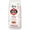 BRIT Dog Fresh Beef & Pumpkin Puppy Large 12 kg