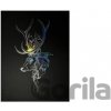 imago Obraz Harry Potter - Patronus
