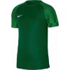 Nike Academy Jr DH8369 302